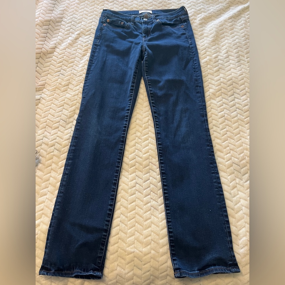 Gap Classic 1969 Real Straight Blue Denim Jeans